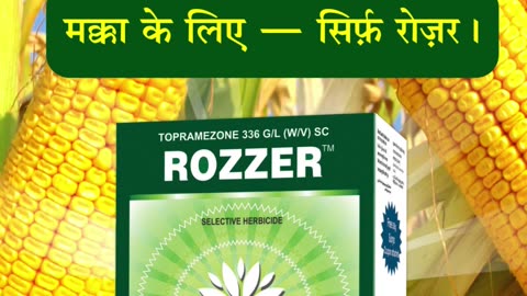 Innovative Agrochemical Company in India | NACL Industries