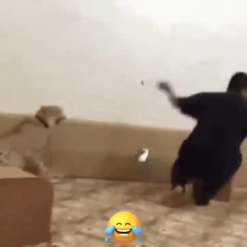 Ultimate Prank Compilation | Funny Reactions & Epic Scares! 😂