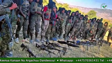 Gabaasa Tarkaanfii ONM-ABO Onkoloolessa 15-2025 itti dhiyaadhaa!