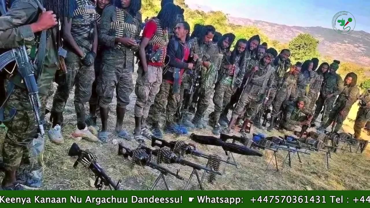 Gabaasa Tarkaanfii ONM-ABO Onkoloolessa 15-2025 itti dhiyaadhaa!