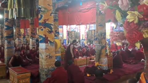 😮💭 Witness a Deep Philosophical Debate Among Buddhist Monks! | FeedMyCuriosity
