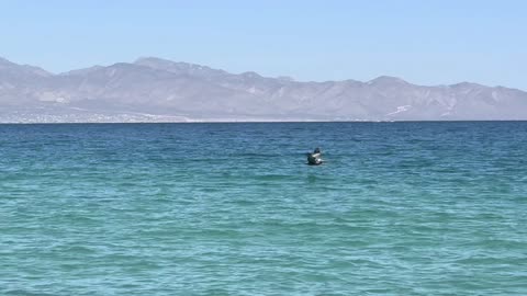 Managing Cholesterol and Triglycerides for Health II