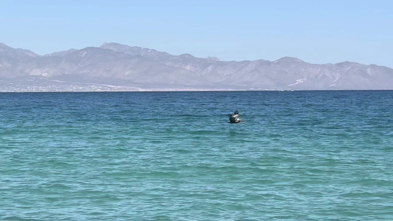 Managing Cholesterol and Triglycerides for Health II