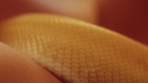 Let Your Inner Nassty Out 😈🔥