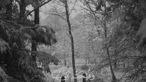 🔥 Surah Az-Zumar 39:73 — سورة الزمر ⚡🤍#love #quran #viral #shorts #trending #Youtubeshorts #fyp