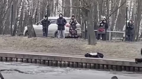 Man rescues dog from icy river