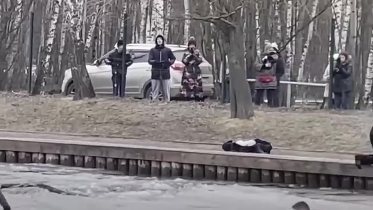 Man rescues dog from icy river