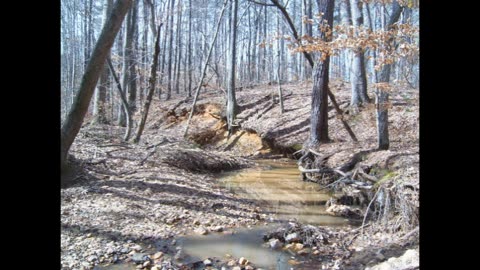 Gold in Georgia - The Dahlonega Gold Belt