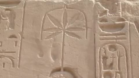 🚨⚠️cannabis / marijuana - the lost history - full documentary movie - trump vance lunch break tartaria