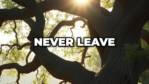 When old age steals your strength, He promises to never leave—here's why that matters NOW 🕊️