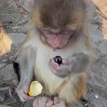 Does this guy eat well