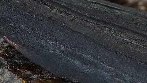 Turning a Leaf Into an Ancient Luxury Tool 🤯