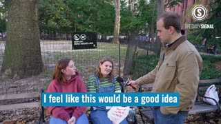 New Yorkers Tell Us: Here’s How Mamdani Rose to Prominence