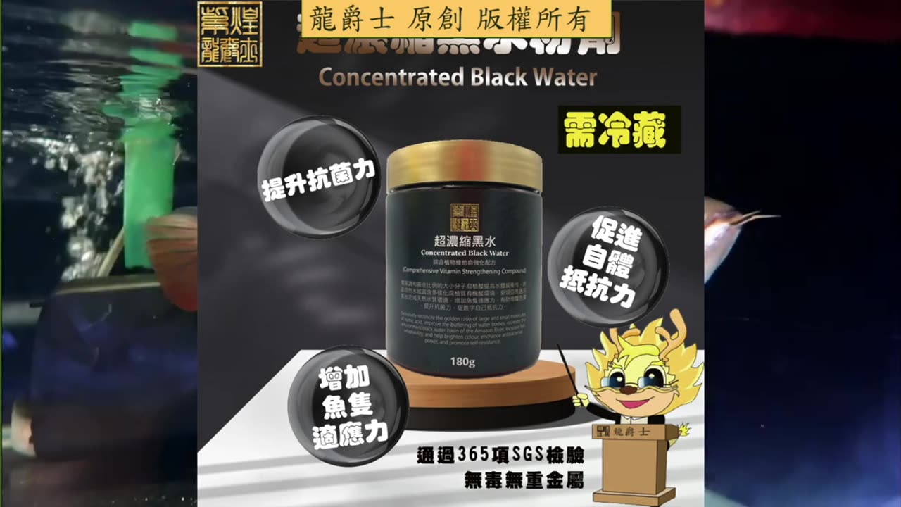 【龍爵士】千問千答 Q229 魚脫鱗後就死亡，要如何改善