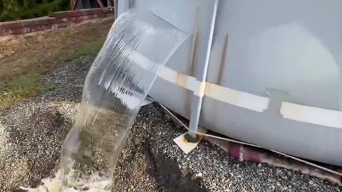 Swimming Pool Goodbye #shorts #ytshorts