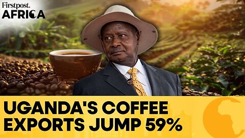Uganda’s Coffee Exports Surge 59%, Challenging Ethiopia’s Market Lead | Firstpost Africa | N18G