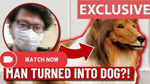 Japanese Man Fulfills His Dream of Transforming Into a Dog