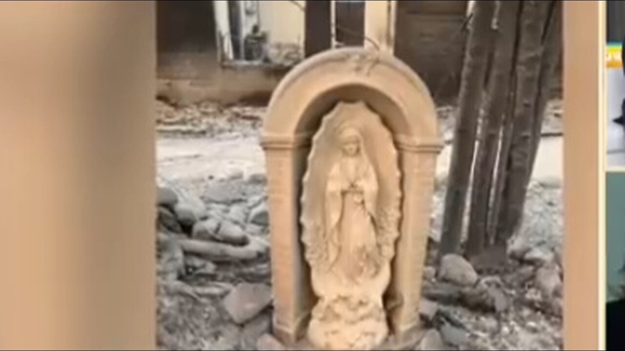 Statue of Virgin Mary survives fire