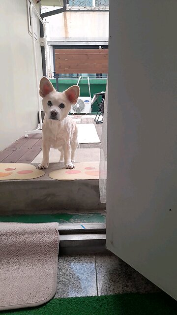 20251016. God Is My Father.