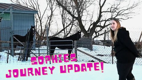 Quitting Riding