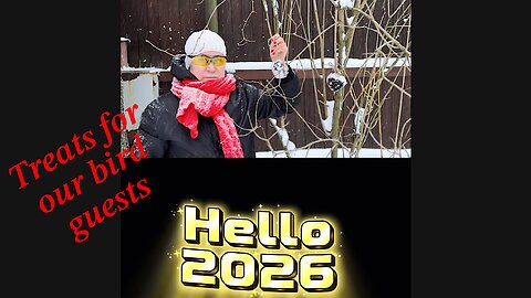 Treats for our bird guests)