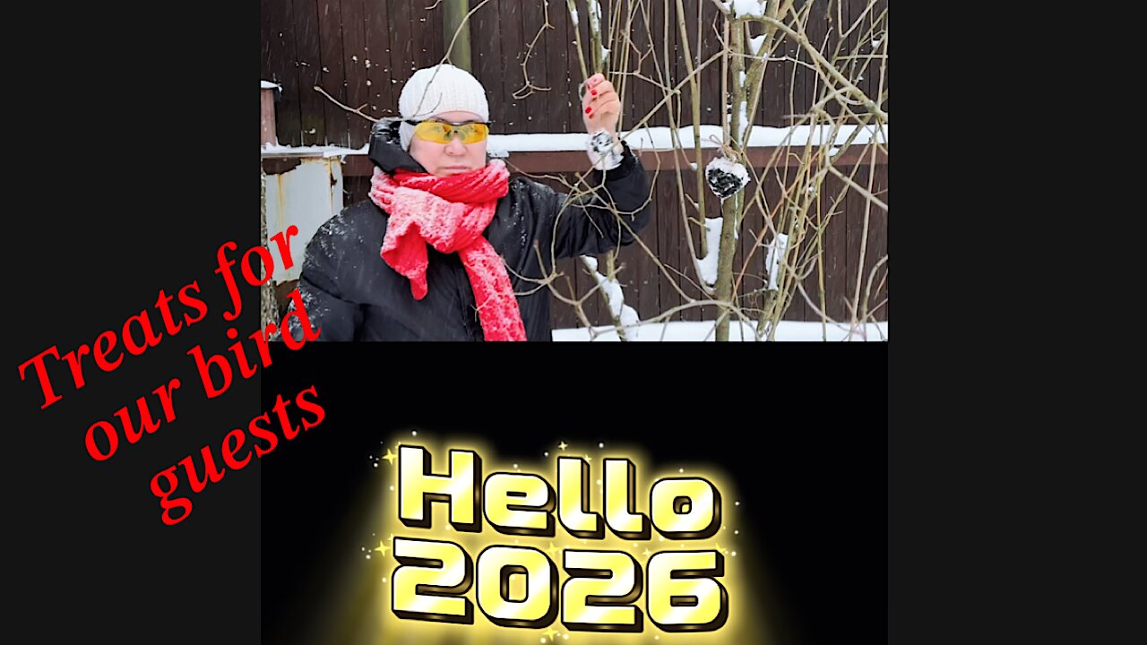 Treats for our bird guests)