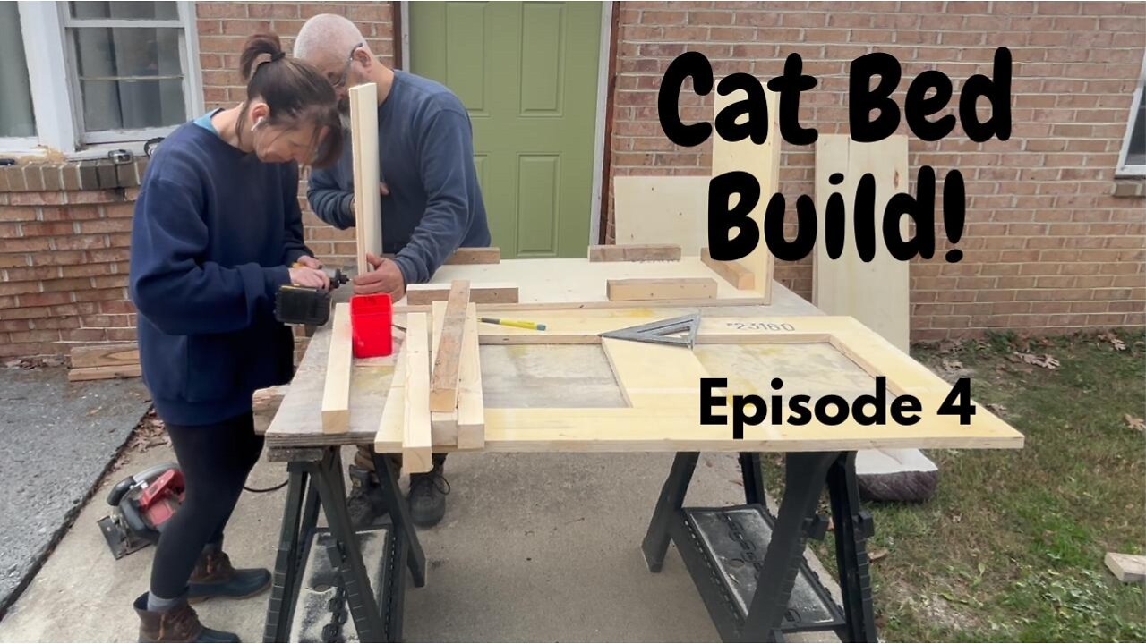 Processing wood and Cat Bed Build (Ep. 4)