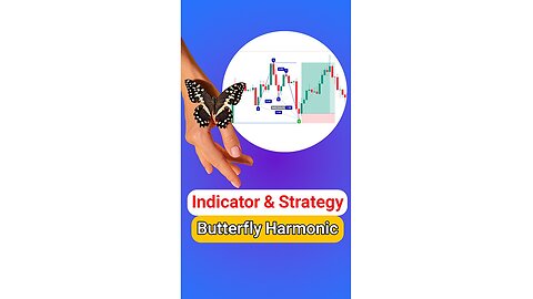💡 Butterfly Harmonic Pattern Indicator on #TradingView - Free - [#TradingFinder]
