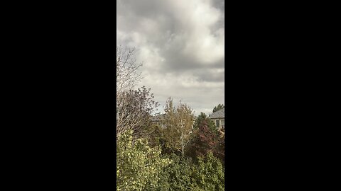 What a nice day outside