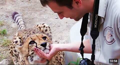 When Animals Surprised Photographers in the Cutest Ways🤪