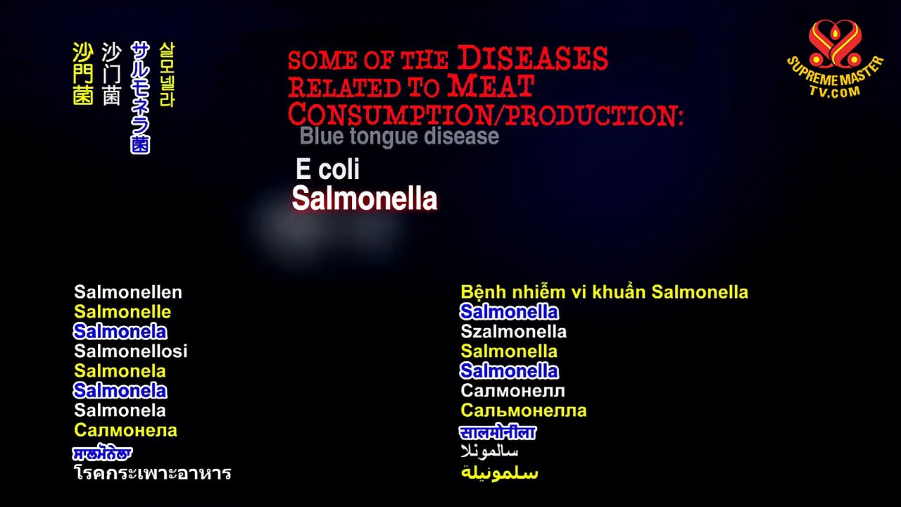 Some of the Diseases Related to Meat Consumption/Production