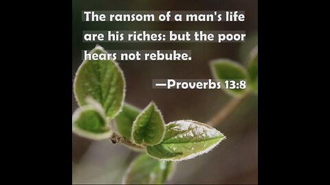 Proverbs 13:8. 11/19/25.