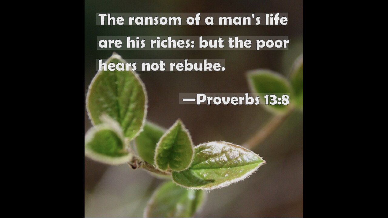 Proverbs 13:8. 11/19/25.