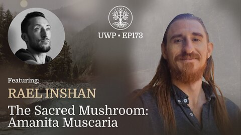 The Sacred Mushroom: Amanita Muscaria - Rael Inshan