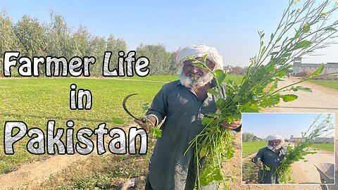 Farmer Life In Pakistan | Malik Ramzan Isra