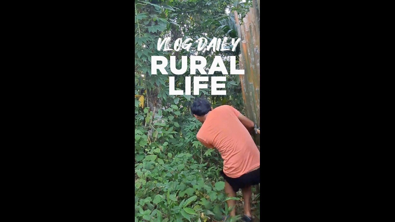 My SIMPLE Daily Routine in Rural Life Farm is Amazing