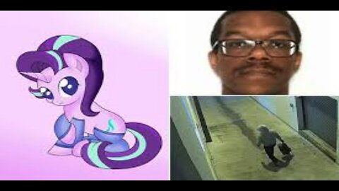 Jan. 6 Pipe Bombing Suspect Linked to Unusual My Little Pony Obsession Report