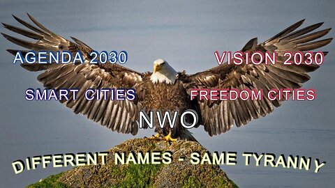 AGENDA 2030- VISION 2030/ SMART CITIES - FREEDOM CITIES : DIFFERENT NAMES - SAME TYRANNY