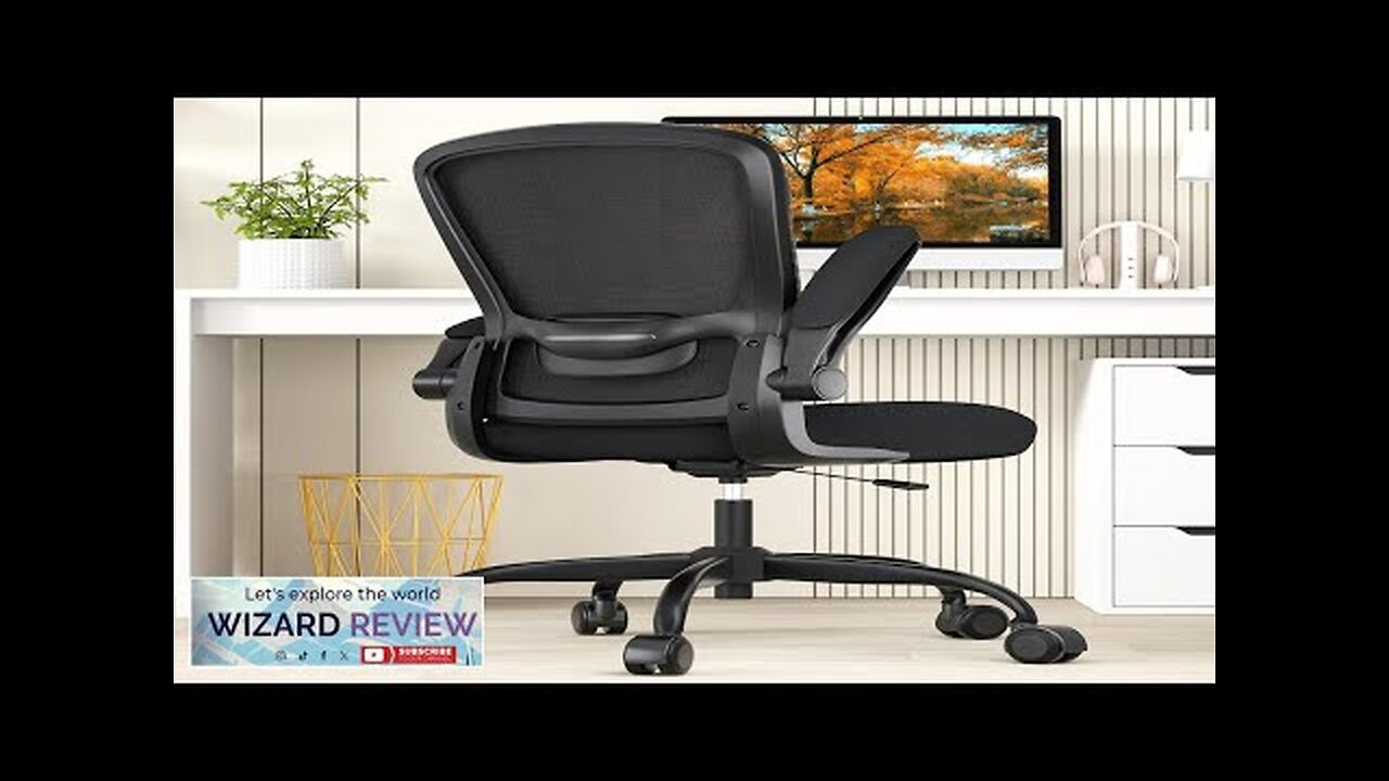 Office Chair Ergonomic Desk Chair with Adjustable Lumbar Support High Back Mesh Review