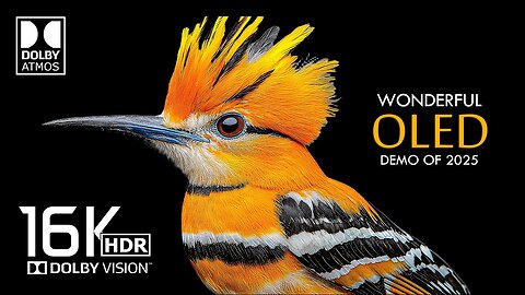 Music Mode - 🐾 Nature's Symphony Awaits 🎶