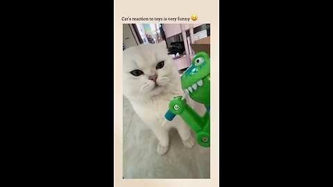 cat's reaction to toys is very funny 😹