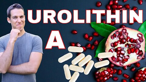 Do you need to supplement with Urolithin A for Mitochondrial Health & Anti-Aging