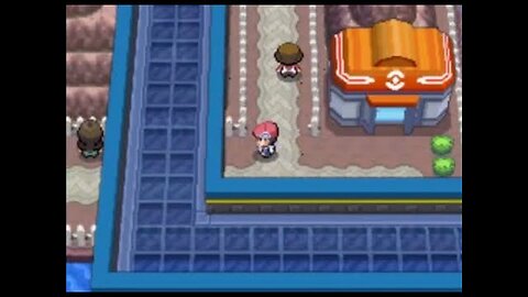 Specializing in Grass type Pokémon, Platinum Paythrough 1.45