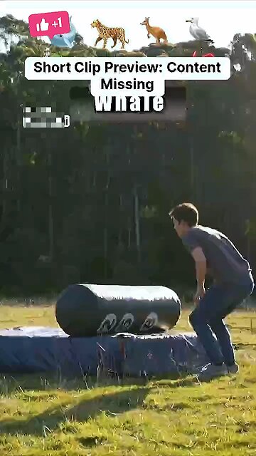 How different animals fight😂😂