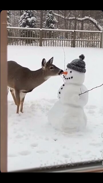Deer & Snowmen Nose