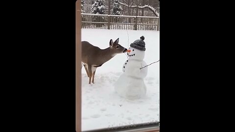 Deer & Snowmen Nose