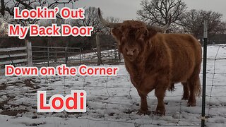 Credence Clearwater Revival 3 SONGS!