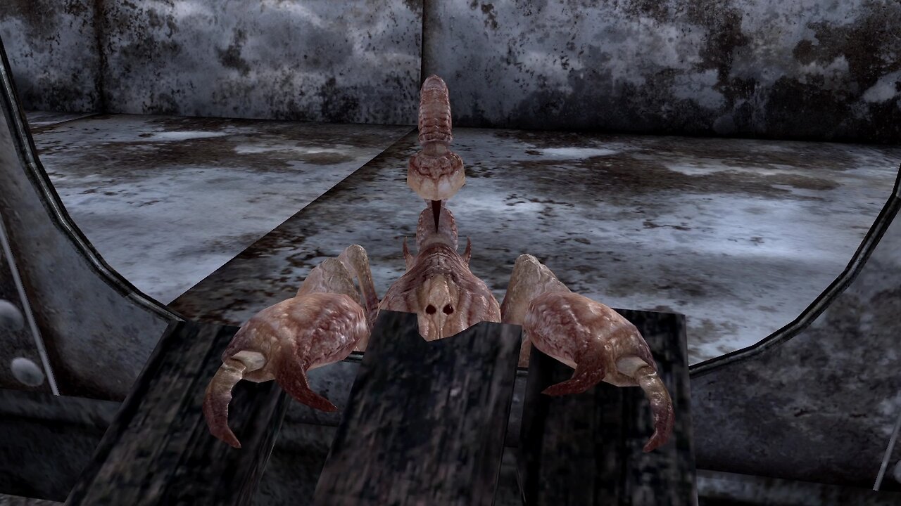 Fallout new vegas - Stuck Bark Scorpion