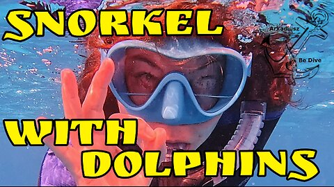 Snorkel with dolphins