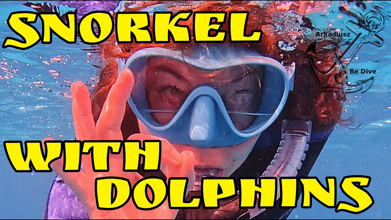 Snorkel with dolphins | Egypt | Fury Shoals